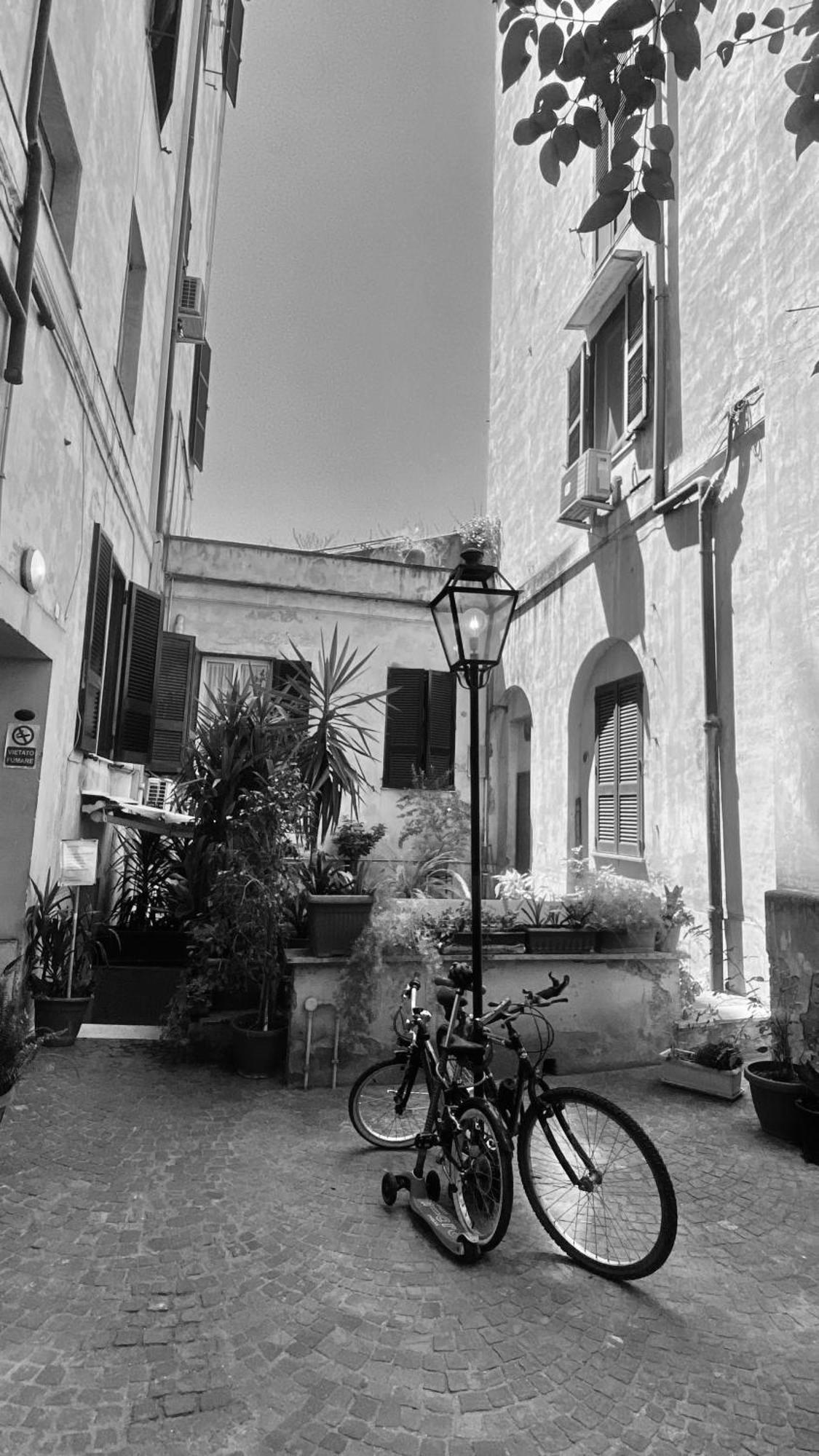 Domus Art Suites Merulana Roma Esterno foto